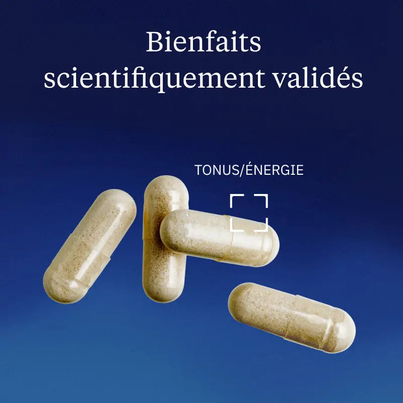 Fer Bisglycinate