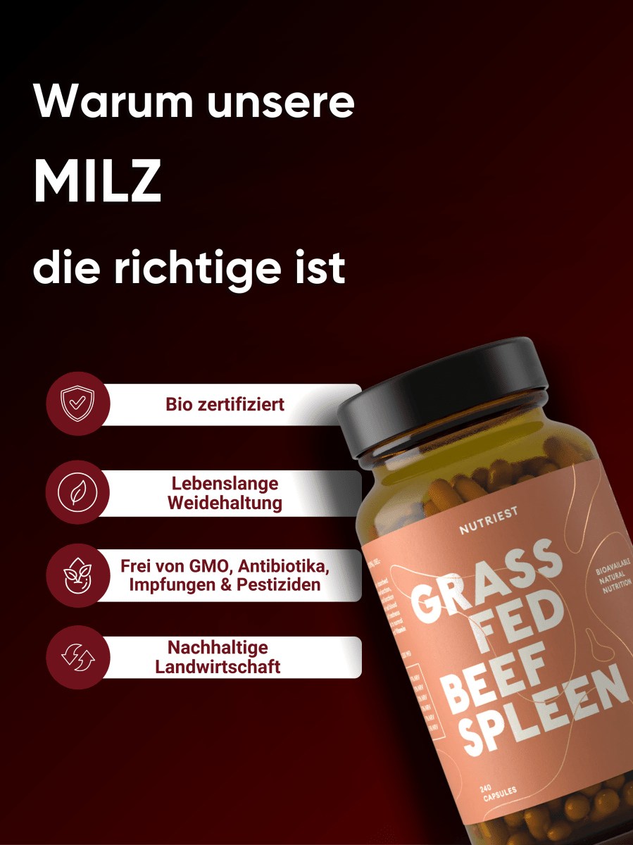 Gélules de rate de bœuf nourri à l'herbe et bio