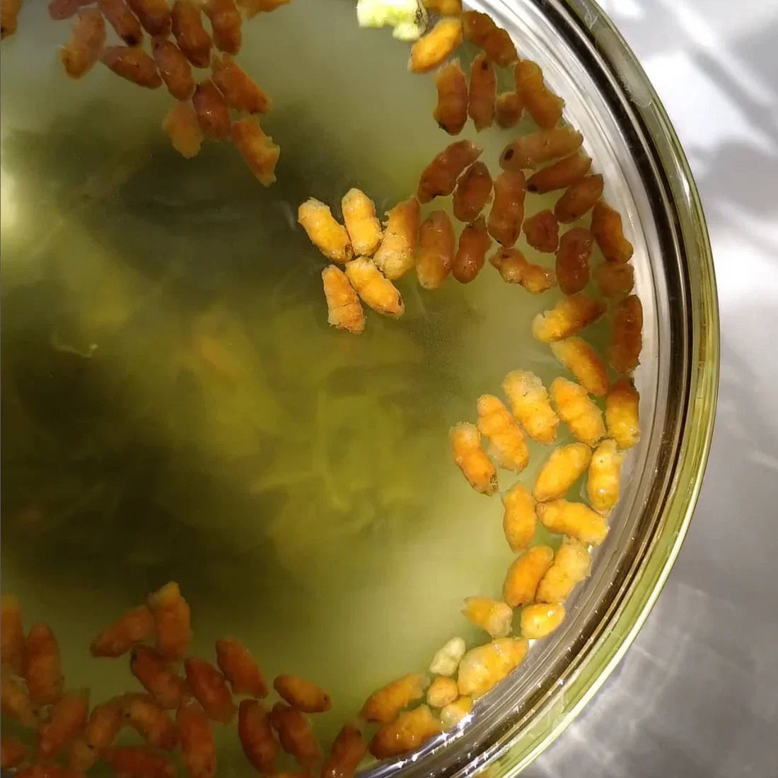 Thé Genmaicha BIO