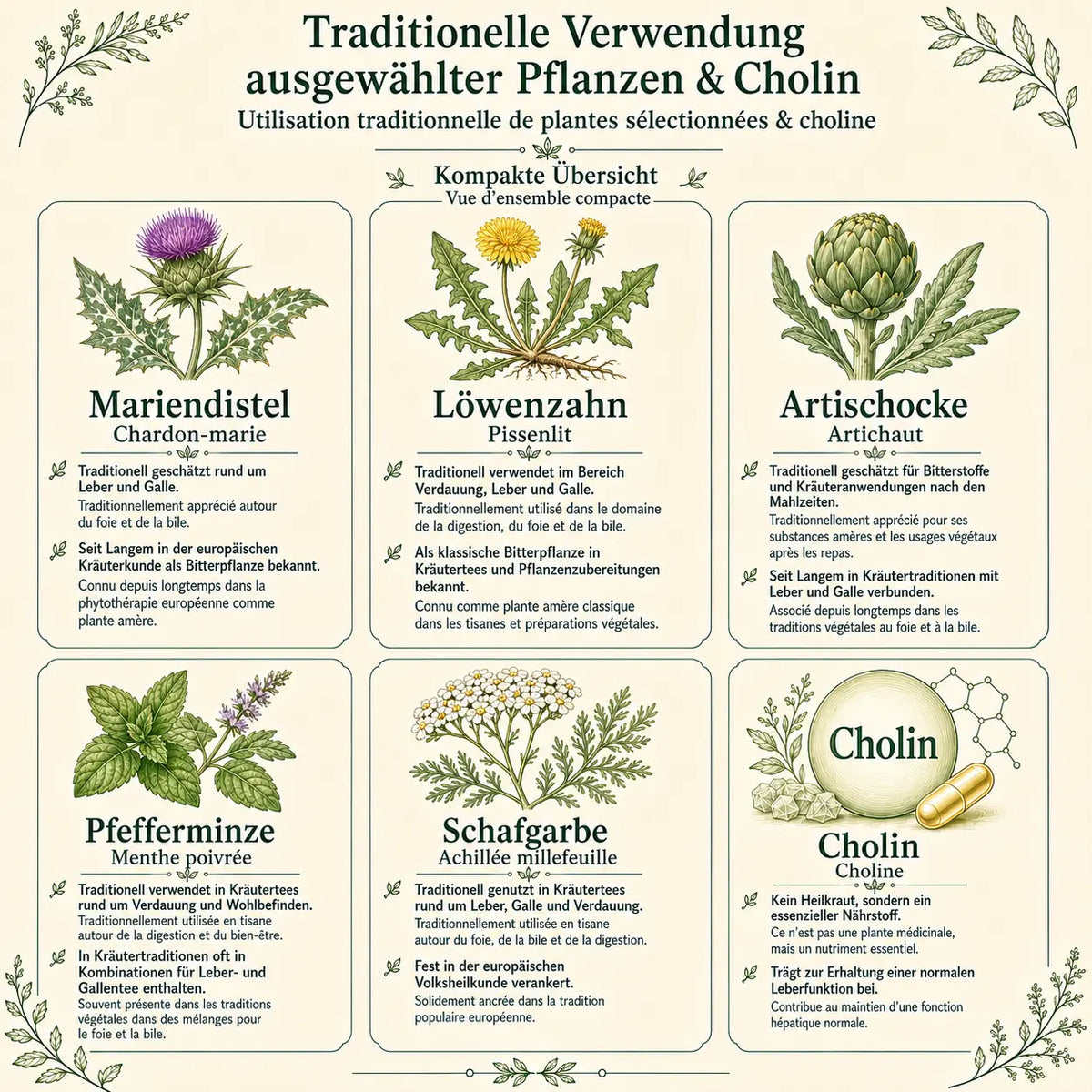 Leber essentia Kapseln – 90 Stück