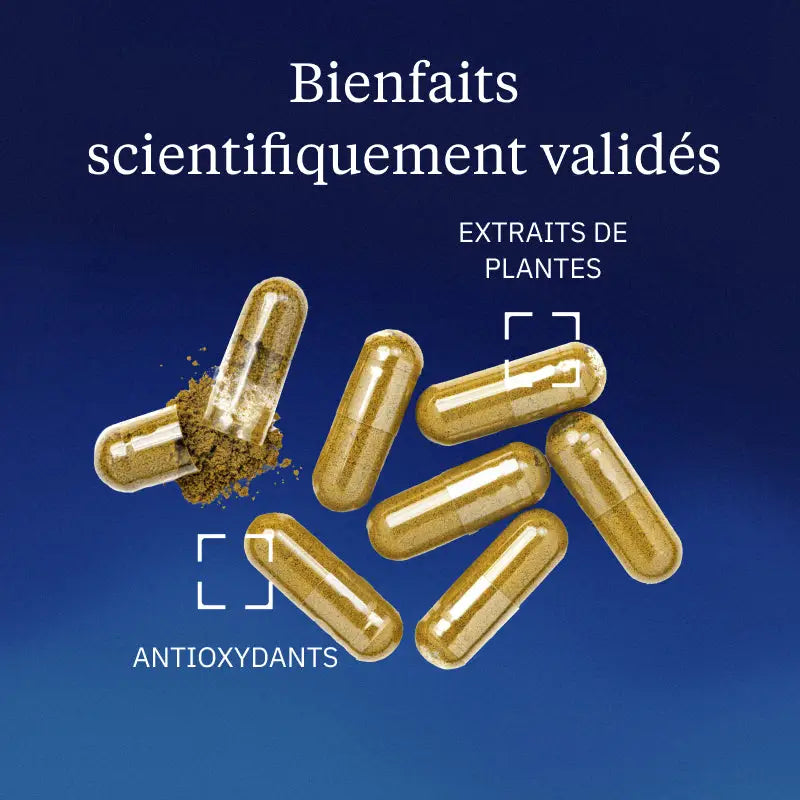 Quercétine Phospholipide Quercefit