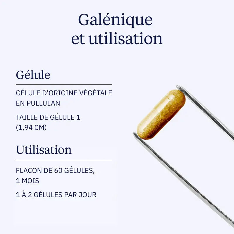 Quercétine Phospholipide Quercefit
