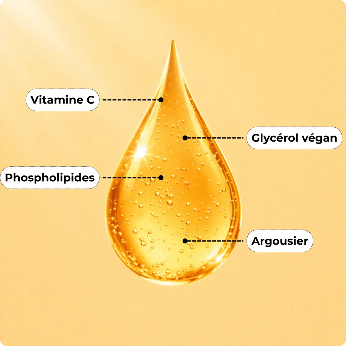 Vitamine C liposomale liquide